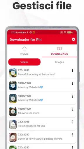 Downloader Video per Pinterest screenshot