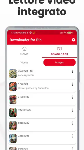 Downloader Video per Pinterest screenshot