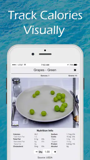 Figwee Visual Food Diary screenshot