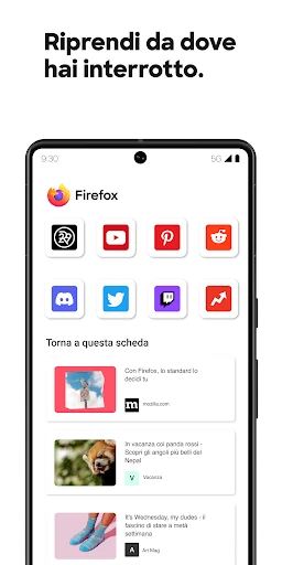 Firefox: il browser riservato screenshot