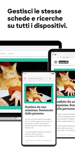 Firefox: il browser riservato screenshot