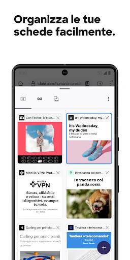 Firefox: il browser riservato screenshot