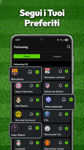 Football Live Scores & Match screenshot