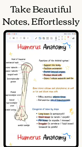 Freenotes: Blocco Note, Memo screenshot