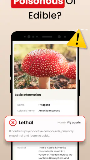 Funghi Riconoscimento Italiano screenshot