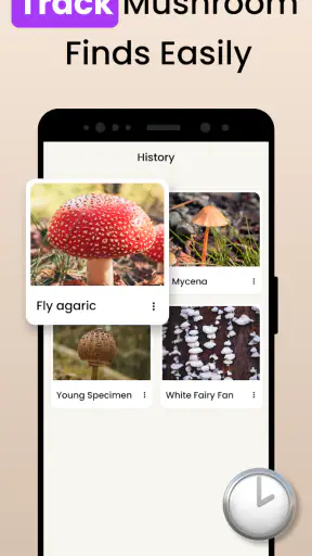 Funghi Riconoscimento Italiano screenshot