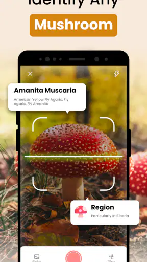 Funghi Riconoscimento Italiano screenshot