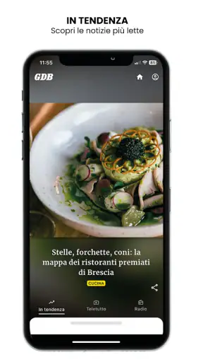 Giornale di Brescia GDB screenshot