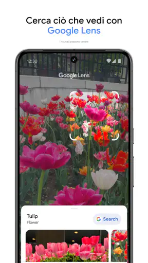 Google Foto screenshot