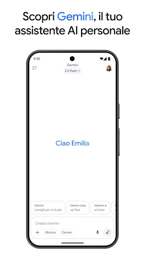 Google Gemini screenshot