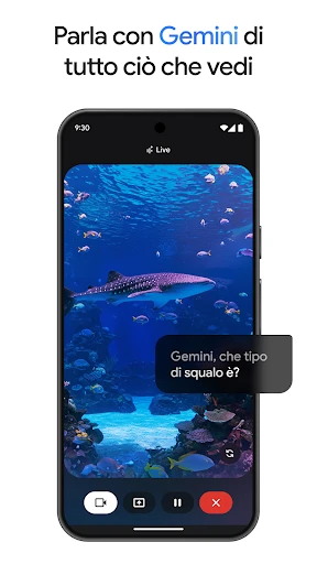 Google Gemini screenshot