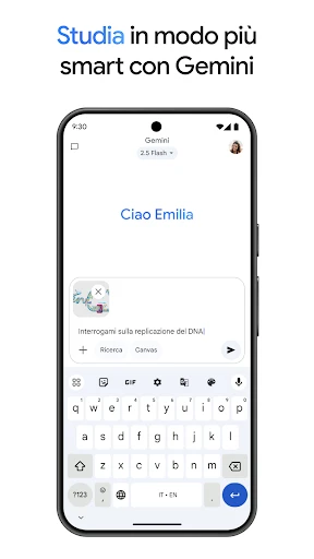 Google Gemini screenshot