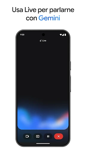Google Gemini screenshot