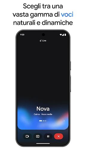 Google Gemini screenshot