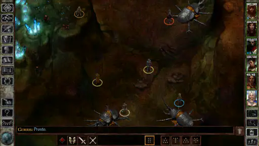 Icewind Dale: Enhanced Edition screenshot