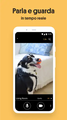 Alfred Camera: IP Camera screenshot