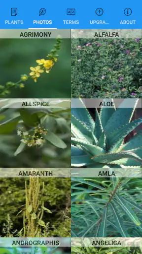 iPlant with Brigitte Mars screenshot
