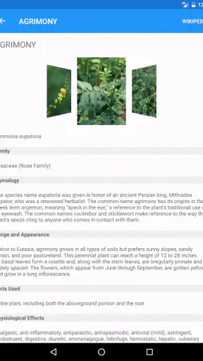 iPlant with Brigitte Mars screenshot