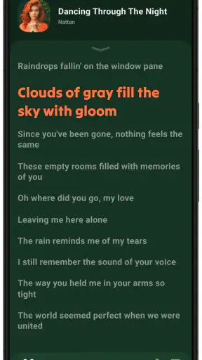 Lark Player: Lettore musicale screenshot