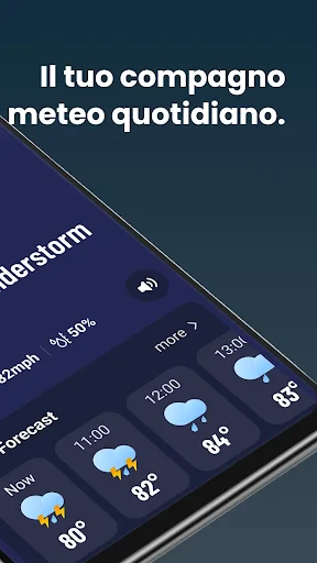 Meteo in tempo reale screenshot