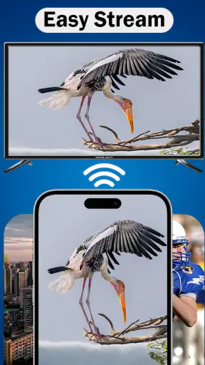MirrorLink App for Car screenshot
