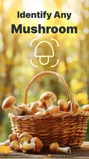 Mushroomizer screenshot