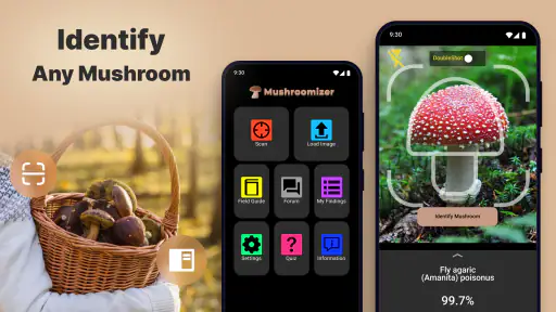 Mushroomizer screenshot