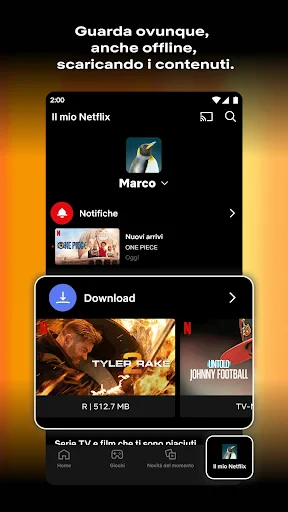 Netflix screenshot