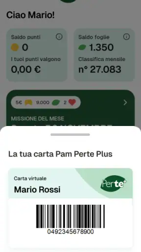 Pam Perte Plus screenshot