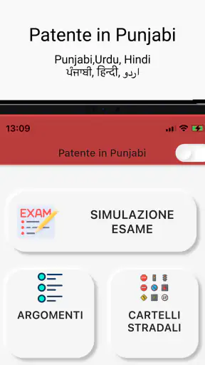 Patente in Punjabi Hindi Urdu screenshot