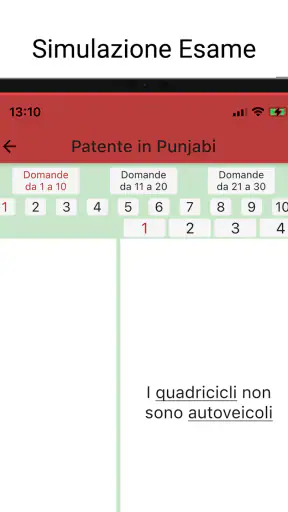 Patente in Punjabi Hindi Urdu screenshot