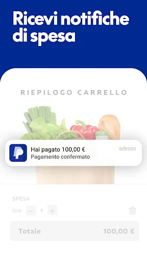 PayPal screenshot