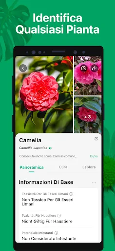 PictureThis Identificar Planta screenshot