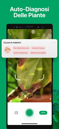 PictureThis Identificar Planta screenshot