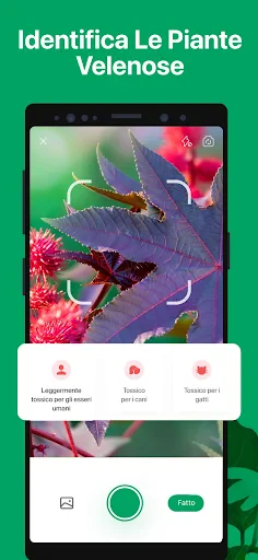 PictureThis Identificar Planta screenshot