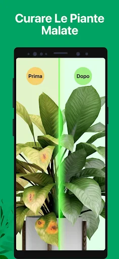 PictureThis Identificar Planta screenshot