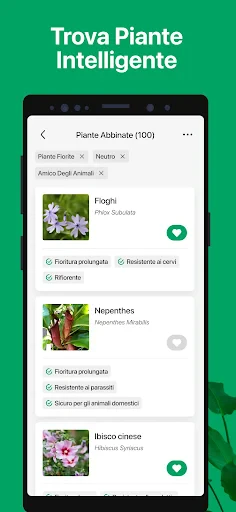 PictureThis Identificar Planta screenshot