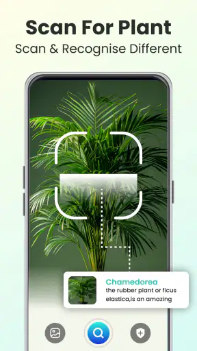 Plant Identifier - Plant Care screenshot