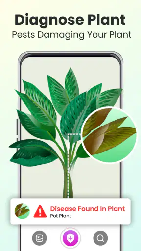 Plant Identifier - Plant Care screenshot