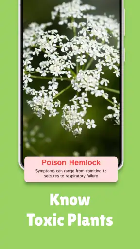 PlantMe - Plant identification screenshot
