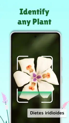 PlantMe - Plant identification screenshot