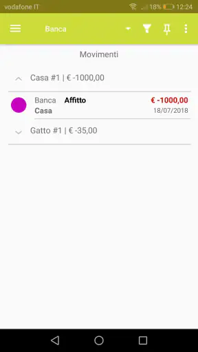 Portafoglio - Gestione spese screenshot