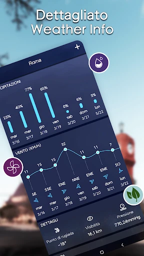 Previsioni meteo locali screenshot