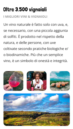 Raisin: Cucina & Vino Naturale screenshot