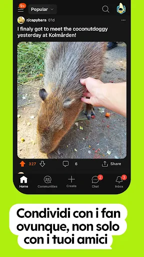 Reddit screenshot