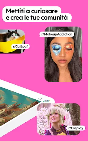 Reddit screenshot