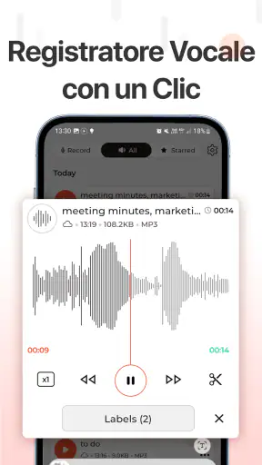Registratore Vocale&Audio Pro screenshot