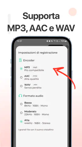 Registratore Vocale&Audio Pro screenshot