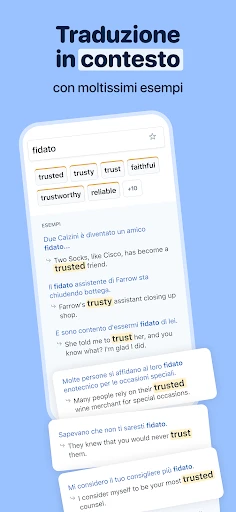 Reverso Traduttore, Dizionario screenshot