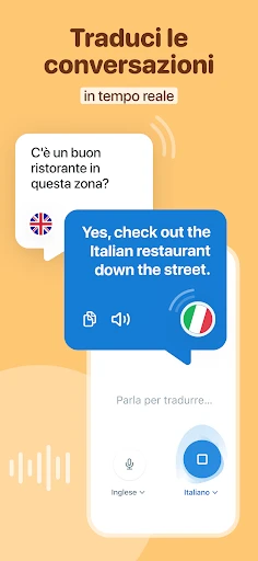 Reverso Traduttore, Dizionario screenshot